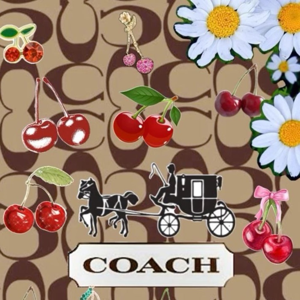 Coach Trade Bundle of 2 ♥️